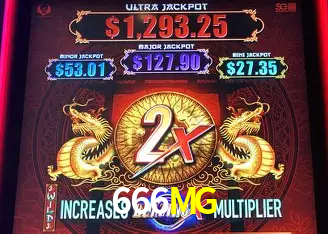 666MG vip